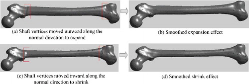 Figure 11. Results of deforming femoral shaft region independently. As shown in (a) and (c), the distortion at both ends of the shaft (see the boxes) was very abrupt, apparent effect was achieved by removing the discontinuity with smoothing function, as illustrated in (b) and (d).