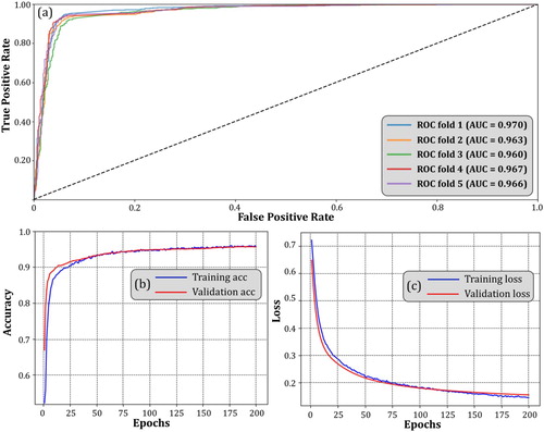 Figure 7. (a) Textual CNN ROC curve for all 5 folds; (b) Training accuracy curve for fold 1 during 200 epochs; (b) Training loss curve for fold 1 during 200 epochs.