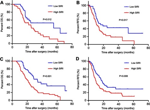 Figure 2 Prognostic significance of SIRI in PDAC patients with normal CA19-9 and early-stage diseases in the training cohort. Kaplan‒Meier survival curves of OS and RFS stratified by SIRI in normal CA19-9 subgroups (A, B) and early-stage subgroups (C, D).Abbreviations: SIRI, systemic inflammation response index; PDAC, pancreatic ductal adenocarcinoma; CA19-9, carbohydrate antigen 19-9; OS, overall survival; RFS, recurrence-free survival.