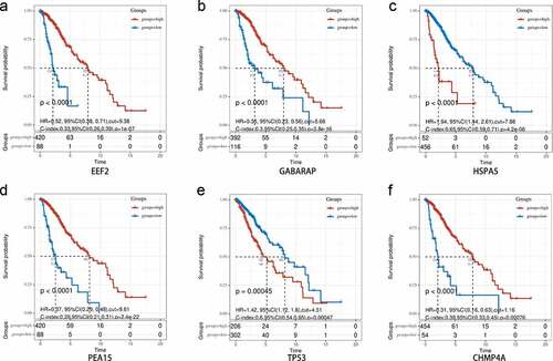 Figure 9. Overall survival analysis of signature-related autophagy-related genes (ARGs) in patients with and without in low-grade glioma (LGG). (a-f) EEF2, GAGBRAP, HSPA5, PEA15, TP53, and CHMP4A, respectively