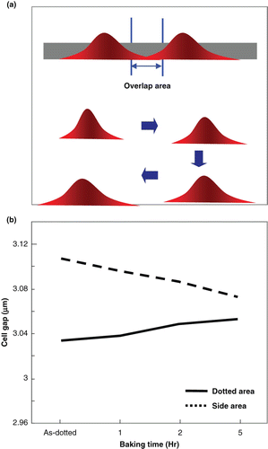 Figure 2. (a) Schematic drawing of the LC droplet that flowed downward after dotting. (b) Change in the cell gap in the mura defect area as a function of the annealing time.