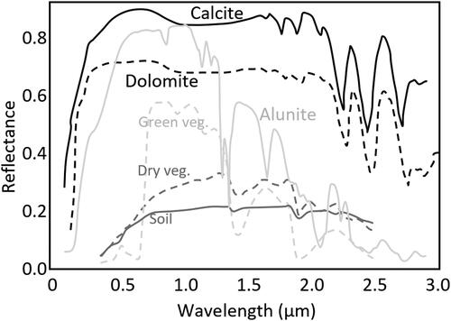 Figure 2. Reflectance spectra for visible and NIR regions of calcite (solid black), dolomite (dashed black), and typical natural targets: dry vegetation (dashed gray), soil (solid gray), Alunite (solid light gray), green vegetation (dashed light gray). Data from Rencz and Ryerson (Citation1999).