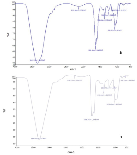 Figure 2. FTIR spectra of L. rhamnosus GG coated in (A) whey protein isolate based SLMP and (B) Gum Arabic based SLMP.