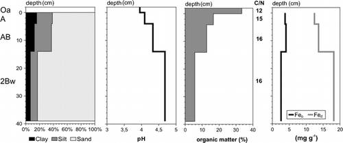 FIGURE 4. Soil texture, pH value (measured in 0.01 M CaCl2 dilution), organic matter content, and Fed and Feo content of profile 1