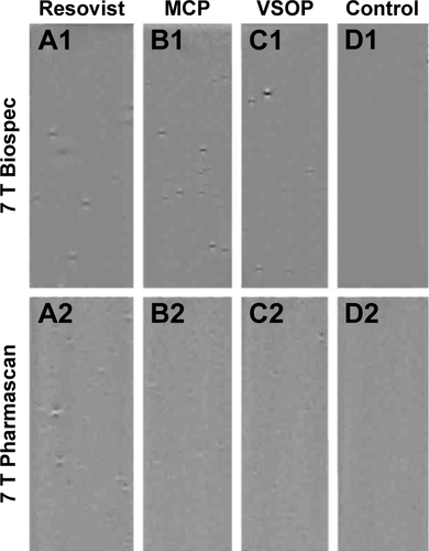 Figure S2 Agarose phantom of labeled MSC imaged on 7 T Biospec vs 7 T Pharmascan MRI (Bruker).Notes: MRI of agarose phantoms using a Bruker BioSpec MRI scanner with CryoProbe (A1–D1) has higher resolution and improves the signal-to-noise ratio (SNR: 86) in comparison to 7 T Pharmascan MRI (SNR: 60) (A2–D2). Hence, the detection of magnetic field microdistortions caused by NP-labeled MSC in postprocessed phase images was improved, and the percentage of quantified single cells was two- to three-fold higher for the 7 T BioSpec. The Biospec MRI scanner has recently become available to us, and these results promise improvements for MRI with single-cell sensitivity in future in vivo experiments.Abbreviations: 7 T, 7 Testla; MCP, multicore carboxy-methyl-dextran-coated iron oxide nanoparticle; MRI, magnetic resonance imaging; MSC, mesenchymal stem cell; NP, nanoparticle; VSOP, very small iron oxide nanoparticle.