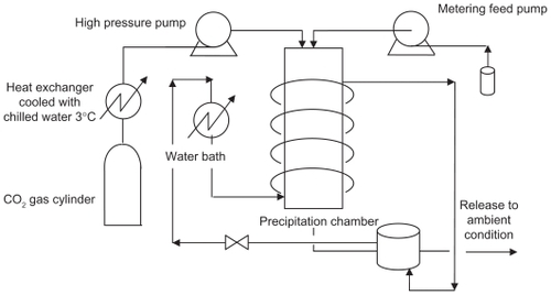 Figure 2 Schematic diagram of the apparatus for the supercritical antisolvent process.