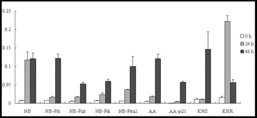 Figure 1. Expression pattern of OsWRKY45 in the studied rice lines at 0 h, 24 h and 48 h p.i. with M. oryzae spores.