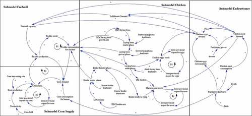 Figure 4. Clause loop diagram of food security for staple protein supply chain in Indonesia