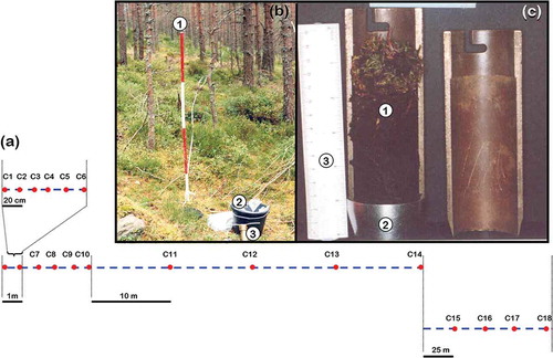Figure 2. Sampling procedure along a 125 m transect with replicated sampling points at differential set points in a 50-year-old Scots pine (stand 8) at Glen Tanar Nature Reserve. (a) Illustration of transect line (dashed line) and replicated sampling points (dots). (b) Field sampling procedure in stand 8. (1) transect line, (2) soil samples in a bucket, (3) split soil core sampler. (c) Detail of soil sample (1) in the split soil core sampler (2) (3) Ruler 15 cm