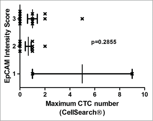 Figure 3. EpCAM expression intensity and CTC numbers. EpCAM expression was analyzed immunohistochemically with monoclonal BerEP4 antibody in resected CRC liver and lung metastases tissue. EpCAM expression was graded by a staining intensity score (score 0–3 (0: no expression, 3: highest intensity)). The mean EpCAM intensity score was high with a mean of 2.48 (SEM ±0.13) and a median of 3 (range 1–3). Patients with no CTCs detectable by CellSearch had consistently high EpCAM expression intensity scores. Non-parametric ANOVA analysis revealed no statistically significant association between the maximum CTC numbers and EpCAM intensity scores (p = 0.2855).
