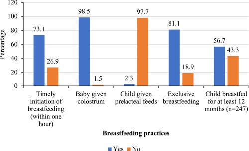 Figure 1 Breastfeeding practices.