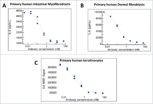 Figure 2. Functional potency. Blockade of IL-36 ligand induced IL-8 secretion by MAB92. The agonistic IL-36 ligand (α,β,γ)-induced activation of NFκB and IL-8 production in primary human intestinal myofibroblasts (a), dermal fibroblasts (b) and human keratinocytes (c) was effectively neutralized by MAB92.