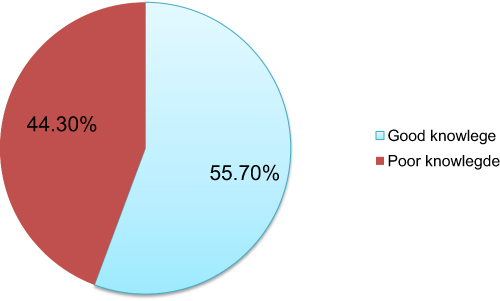 Figure 1 Knowledge of nursing professionals towards nursing code of ethics working in public hospitals of Gurage zone, SNNPR, Ethiopia, 2022 (n=413).