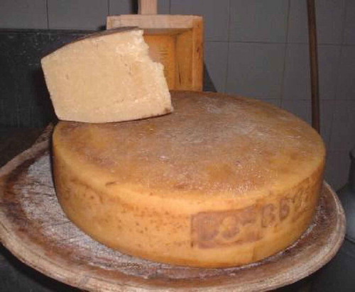 FIGURE 1 A ripened Silter cheese picture.