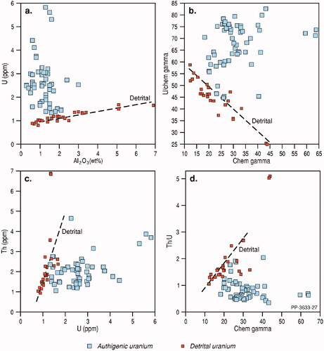 Figure 20. U (ppm) versus Al2O3 (wt%) and Th (ppm). Note the two distinct trends, with detrital U (correlated with both Al2O3 and Th) versus U from a secondary source (decoupled from both Al2O3 and Th; see Figure 19f).