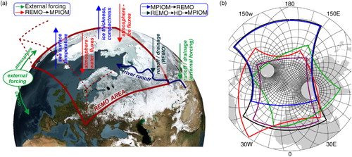 Fig. 2 MPIOM/REMO/HD Coupling (a) and coupled setups (b). Coloured spherical rectangles on (b): Arctic (violet), Asia (green), Atlantic (red), Pacific (blue), Atlantic–Pacific (black). Domains are defined on REMO grid. Thin black lines – MPIOM grid (every 12th grid line).