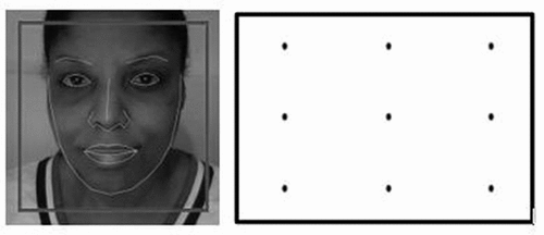 Figure 1. a). (left) showing successful face-meshing, and 1b). (right) illustrating the dot locations.