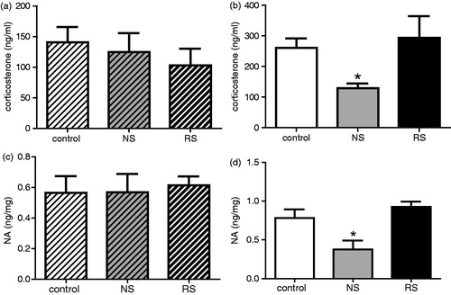 Figure 3. Serum corticosterone levels and catecholamine concentrations. (a) and (b) show the mean (±SE) corticosterone levels for control (white bars, n = 9) and in noise- (NS; grey bars, n = 9) and restraint-stressed mice (RS; black bars, n = 8) C57 (a, crossed bars) and for BALB/c hosts (b, plain bars; n = 9 for each group). (c) and (d) show the mean (±SE) catecholamine levels for control (white bars, n = 9) and noise- (grey bars, n = 9) and restraint-stressed mice (black bars, n = 8) C57 (crossed bars) and for BALB/c hosts (plain bars n = 9, 9, and 8 for control, NS, and RS mice, respectively). *p < 0.05.
