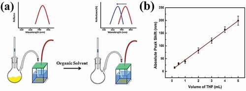 Figure 2. (A) Experimental setup for studying the etalon response to vapour phase VOCs. (B) Absolute total peak shift recorded in response to different volumes of THF being bubbled through the experimental system showing a linear response. Reprinted (adapted) with permission from ref [Citation24]. Copyright 2019, Elsevier.