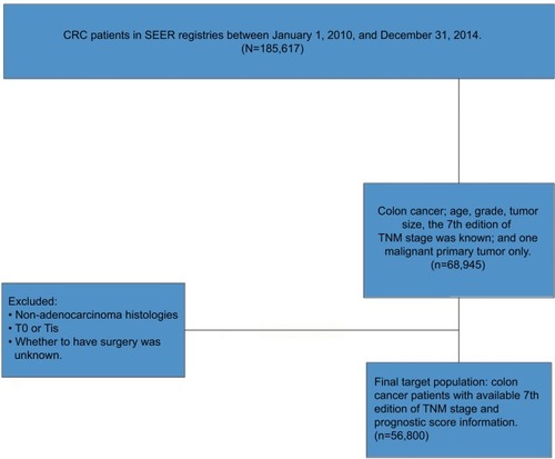 Figure 1 Flow diagram of patient population selected from the SEER database.Abbreviations: CRC, colorectal cancer; SEER, Surveillance, Epidemiology, and End Results.