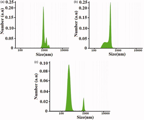 Figure 3. DLS analysis of dapsone microemulsion (a), polyacrylamide/polylactic acid core/shell nanofibers (b) dapsone nanoemulsion loaded in polyacrylamide/polylactic acid as core/shell nanofibers (c).