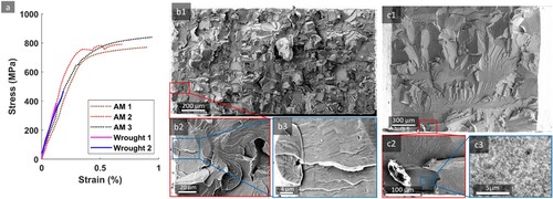 Figure 4. Stress-strain behaviour of FeCrAl alloy in as-print (AM) and Wrought conditions (a) with respective fractographic investigations of sample AM1 and Wrought 1 (b), (c).