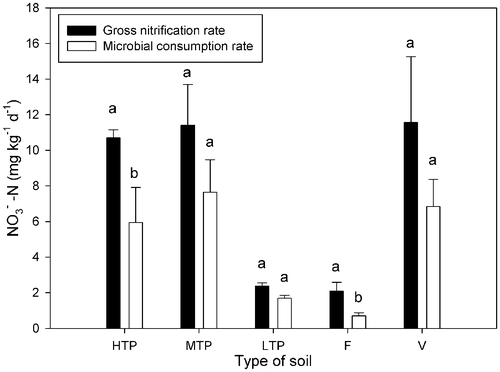 Figure 3. Gross nitrification rate and nitrate consumption in different soils. Soil types: HTP, high tea production; MTP, middle tea production; LTP, low tea production; F, forest; V, vegetable. –N, ammonium N. Vertical bars show standard deviations. Different letters denote significant differences (p < 0.05) between gross nitrification rate and microbial consumption rate in the same soil.