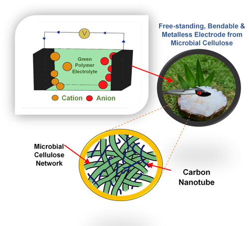 Figure 1. Proposed EDLC construction with green polymer electrolyte sandwiched in between microbial cellulose-CNT composite electrodes.