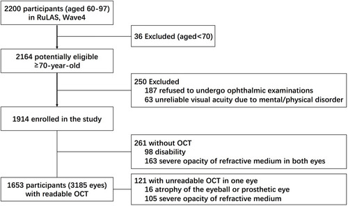 Figure 1 Flow diagram of study participants.