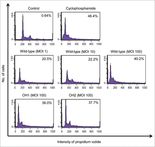 Figure 4. Cytotoxicity of A. nosocomialis infection for epithelial cells. A549 cells were infected with A. nosocomialis strains at an MOI of 100 for 16 h. Cells were stained with propidium iodide. The DNA content of each cell was analyzed using flow cytometry. A total of 9,000 cells were analyzed per sample. The percentage of cells in the hypo-diploid population is indicated in the diagrams. Representative data from three independent experiments are shown.