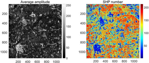 Figure 3. The map of average amplitude and SHP number in the study area, respectively.