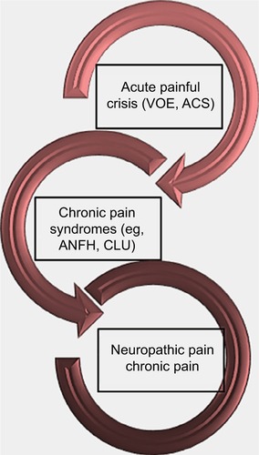 Figure 1 Forms of presentation of pain in sickle cell disease.