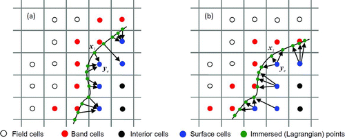 FIG. 2 Illustrations of surface mass transfer (a) from Lagrangian to Eulerian data and (b) Eulerian to Lagrangian data. (Color figure available online.)