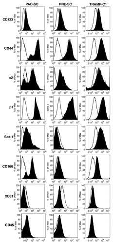 Figure 1. Phenotypic characterization of cancer stem cells. Prostate adenocarcinoma-derived stem cells (PAC-SCs, left column), prostatic neuroendocrine tumor-derived stem cells (PNE-SCs, middle column) and TRAMP-C1 cells (right column) were harvested, dissociated to single-cell suspension, stained with FITC-, PE- or APC-conjugated antibodies specific for the indicated markers and analyzed by cytofluorimetry. Histograms illustrate the expression of specific markers (black profiles). White profiles represent isotype controls. Each panel is representative of three independent experiments.