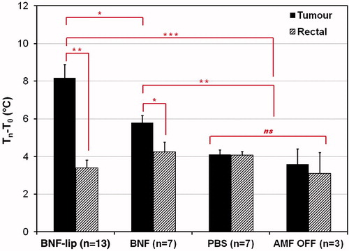 Figure 6. Mean tumour and rectal temperature changes (final − initial) measured for cohorts of mice injected with one of (D = 0.5Vtumour (ml)), PBS (saline control), BNF, or BNF-lip exposed to AMF 18 h after injection to AMF at 20 kA/m for duration of 20 min. Sham controls were injected with either PBS or BNF and placed in the AMF coil (as with the other cohorts) for 20 min with 0 kA/m amplitude. *p < 0.05; **p < 0.01; ***p < 0.001; ns, not significant, p > 0.05.