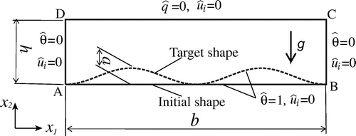Figure 2. Numerical model and boundary conditions for Park’s problem.