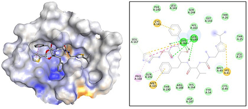 Figure 2 Molecular Interaction of Ritonavir to Mpro Enzyme.
