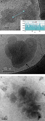 Figure 7.  Cryo-TEM micrographs of the ALA-CatpH complexes at the L/D = 4/1. (a, b) A/D = 2/1; the electron density of the straight line represented in the image can be seen in the inset of this image; a spacing periodicity of 6.7 nm is shown for the multilamellar structures formed; the arrow in (b) indicates the same kind of striation as found in (a). (c) A/D = 10/1. No liposomes are seen. Some moderately dense particles are visualized. T = 25°C. This figure is reproduced in colour in Molecular Membrane Biology online.