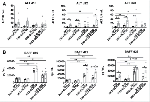Figure 5. Circulating BAFF and ALT cell levels in mice after sustained combination therapy treatment of advanced lymphoma. Blood samples were collected for plasma assessment according to the experimental design shown in Fig. 4A (A) BAFF was measured in plasma samples collected at day 16, day 22 and day 28 after tumor injection. Statistical analysis was performed using Mann–Whitney test, *p < 0.05 and **p < 0.01; n = 5 per group. (B) ALT was measured in plasma samples collected at the same time points after tumor injection. Statistical analysis was performed using Mann–Whitney test, *p < 0.05 and **p < 0.01; n = 5 per group.