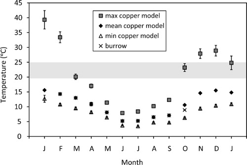 Figure 2 Temperatures available to tuatara (Sphenodon punctatus) held in outdoor pens at Orokonui Ecosanctuary from January 2010 to January 2011. Operative temperatures of copper models are shown as mean daily maxima, mean daily average, and mean daily minima (± SEM) for 12 models in basking positions. Also shown are the mean daily temperatures in burrows (n=6) for the months of February–October. The shaded horizontal band represents the temperature (central 50%) selected by juvenile tuatara in a thermal gradient (Besson & Cree Citation2010).