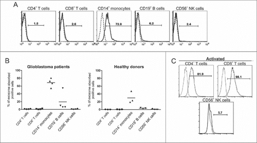 Figure 2. Intracellular uptake of exosomes by immune populations is variable. (A) Representative flow cytometry histograms demonstrating uptake of glioblastoma stem cell (GSC)20-derived exosomes labeled with PHK67 and incubated with peripheral blood mononuclear cells from GBM patients for 6 h. Cells were labeled with the indicated surface antibodies (solid line) or isotype controls (dashed line). Exosome uptake within the designated cellular population was characterized by flow cytometry. (B) Summarized data of uptake of labeled GSC20-derived exosomes by immune cell populations from GBM patients (left) and healthy donors (right). Each symbol represents the data from one patient or donor. The horizontal lines represent the average percentage for each of the 5 cell types. (C) T cells were activated with anti-CD3/anti-CD28 antibodies, and NK cells were activated by PMA and ionomycin, and then cells were incubated with PHK67-labeled GSC20 exosomes for 6 h. Then cells were labeled with the indicated surface antibodies (solid line) or isotype controls (dashed line). Exosome uptake within the CD4+ or CD8+ T-cell population and CD56+ NK cells was analyzed by flow cytometry. These data were replicated twice with two different donors with similar results.