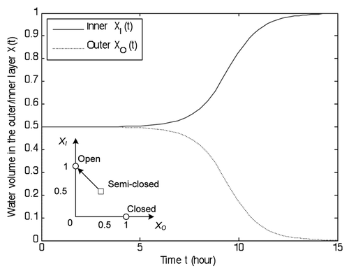 Figure 8 Illustration of the release process. It takes 14 hours to transition from the semi-closed state (XI, XO) = (0.5, 0.5) to the open state (XI, XO) = (1, 0). The opening speed significantly decreases in the final 2 hours.