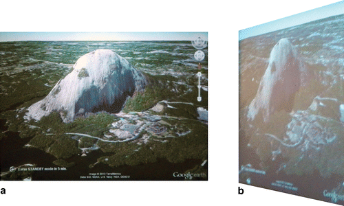 FIGURE 2: Photographs of the screen showing Stone Mountain, Georgia, (a) directly in front of the screen, and (b) at the widest angle from the screen. This image was not used in the study.