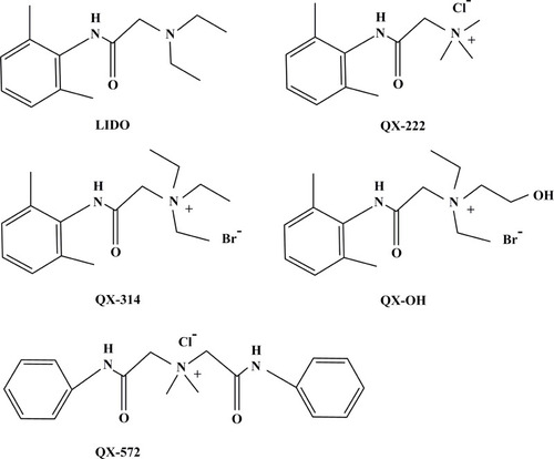 Figure 1 Molecular structure of LIDO, QX-222, QX-314, QX-OH, and QX-572.
