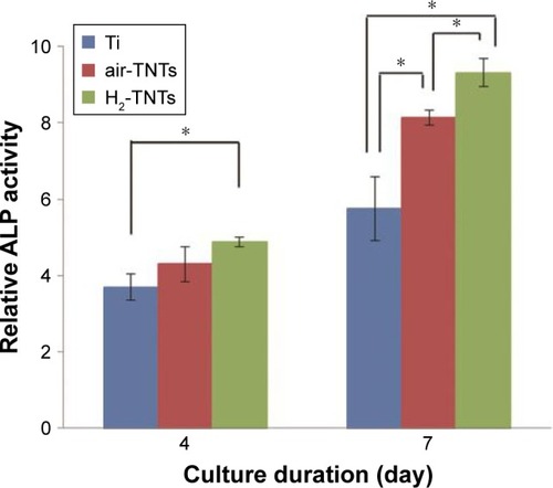 Figure 14 MG-63 cell ALP activity on samples after incubation for 4 and 7 days.Notes: Data are expressed as mean ± SD (n=3); *P<0.05.Abbreviations: ALP, alkaline phosphatase; Ti, titanium; air-TNTs, air-annealed TiO2 nanotubes; H2-TNTs, hydrogenated TiO2 nanotubes.