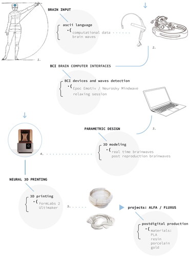 Figure 4. Illustration of the interactive process adopted in the two experiments Alpha and Flows.