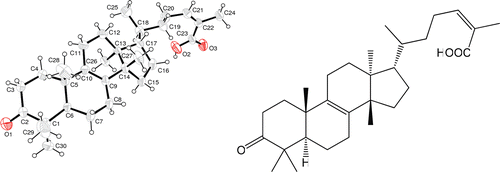 Figure 1.  X-ray crystallographic image and chemical structure of pistagremic acid.
