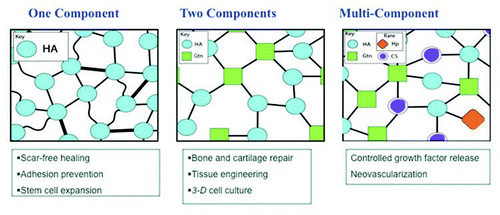 Figure 4 Deconstruction of the ECM to one, two, and multi-component modular, living sECMs.