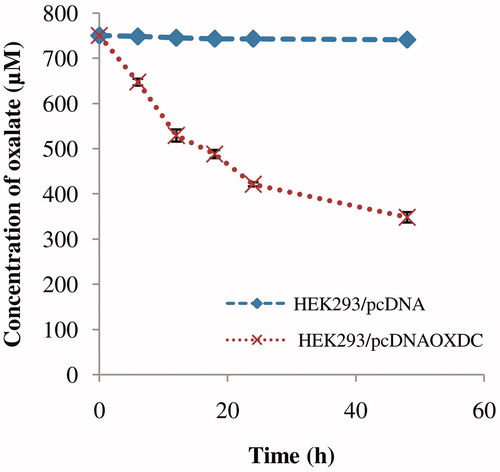 Figure 4. Oxalate degrading ability of recombinant HEK293/pcDNAOXDC and HEK293/pcDNA cells in oxalate rich medium (750 μM) at different time intervals. The represented data are mean value of three independent experiments.