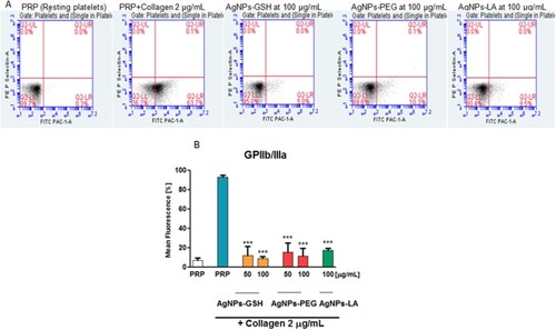 Figure 10 AgNPs-GSH. AgNPs-PEG, and AgNPs-LA attenuated collagen-stimulated increase in the abundance of GPIIb/IIIa on the platelet surface.Notes: (A) Representative flow cytometry recordings showing effects of AgNPs-GSH, AgNPs-PEG, and AgNPs-LA (100 μg/mL) on GPIIb/IIIa. The corresponding bar graph shows analysis of the effects of AgNPs on (B) GPIIb/IIIa. Data expressed as mean ± standard deviation; n=4; ***P<0.001 vs collagen-stimulated platelets or as indicated. Abbreviations: AgNPs, silver nanoparticles; GSH, glutathione; PEG, polyethylene glycol; LA, lipoic acid.